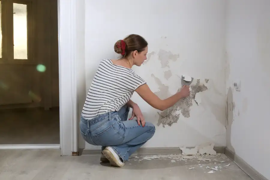 Top-notch Mold Restoration in Tampa, FL